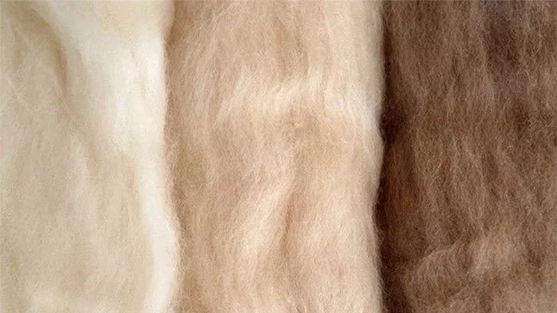 What is cashmere fiber