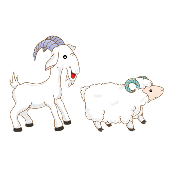 Goat and sheep
